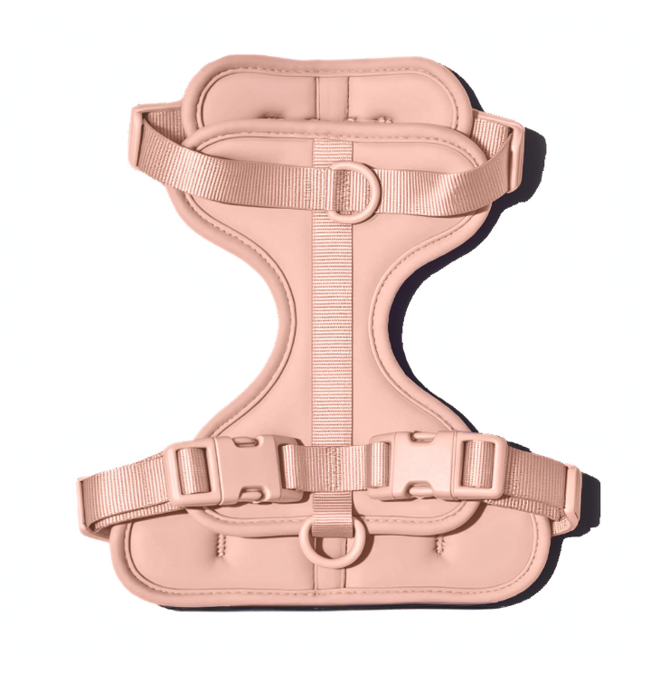 LONGFIT™ Comfort Harness – Perfect harnas voor teckels &amp; kleine honden