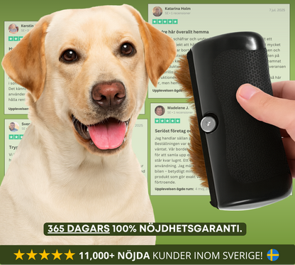 FurSculptor™ | Hundborsten som förhindrar håravfall och håller ditt hem fritt från hår